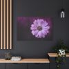 91638-193.jpg Purple Daisy Flower Standard Canvas