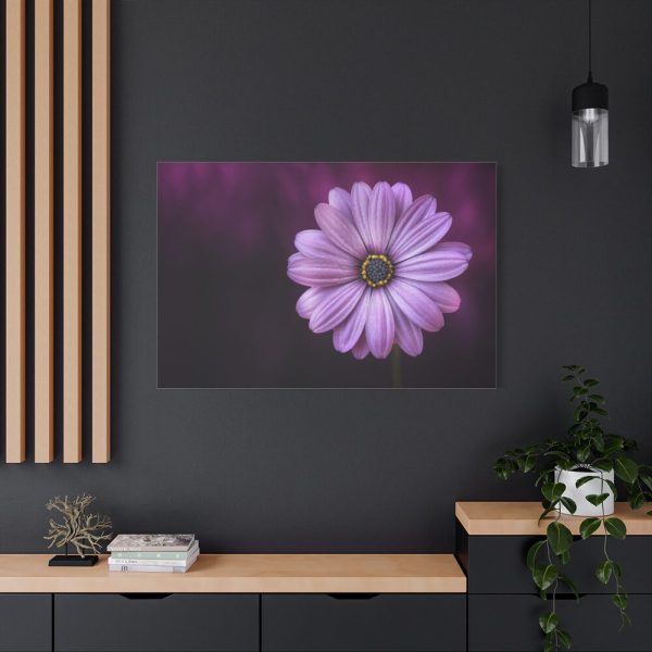 91638-193.jpg Purple Daisy Flower Standard Canvas