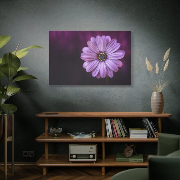 91638-194.jpg Purple Daisy Flower Standard Canvas