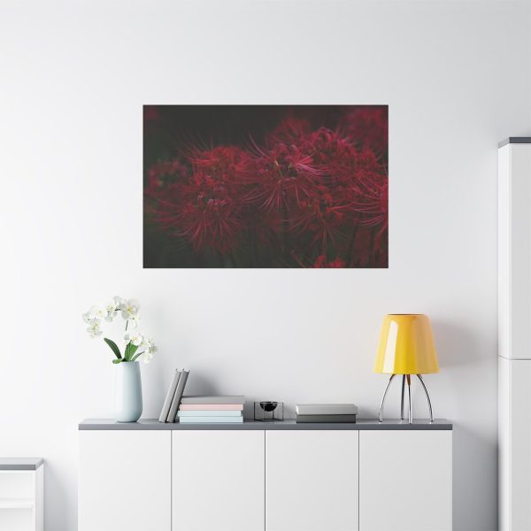 Red Spider Lilies Standard Canvas
