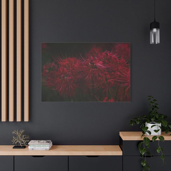 Red Spider Lilies Standard Canvas