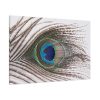 91638-225.jpg Peacock Feather Standard Canvas