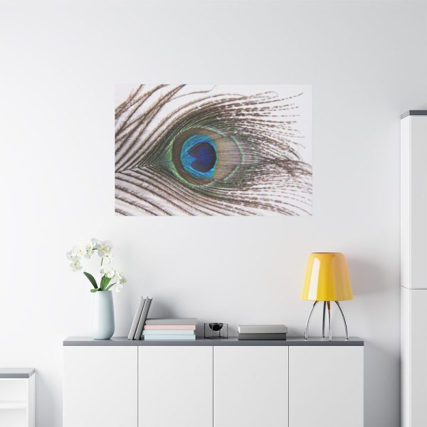 91638-227.jpg Peacock Feather Standard Canvas