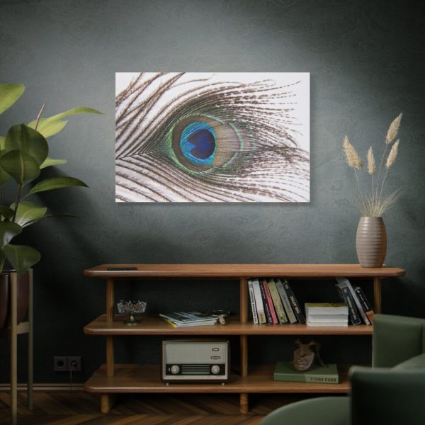 91638-229.jpg Peacock Feather Standard Canvas