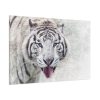 91638-235.jpg White Bengal Tiger Standard Canvas