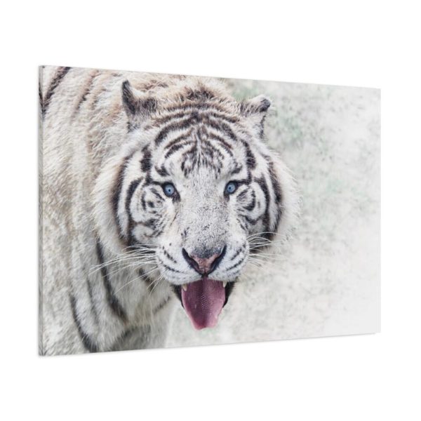 91638-235.jpg White Bengal Tiger Standard Canvas