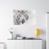 91638-237.jpg White Bengal Tiger Standard Canvas