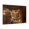Tiger Roaring Standard Canvas