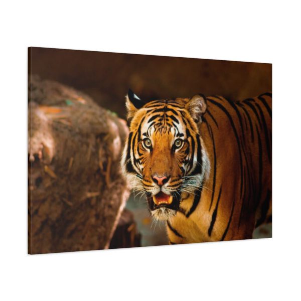 Tiger Roaring Standard Canvas