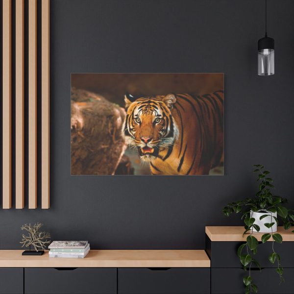 Tiger Roaring Standard Canvas