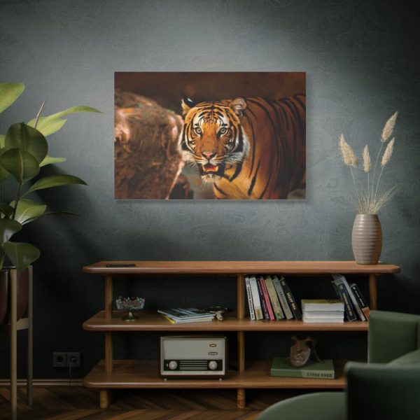 Tiger Roaring Standard Canvas