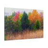 Autumn Landscape Standard Canvas
