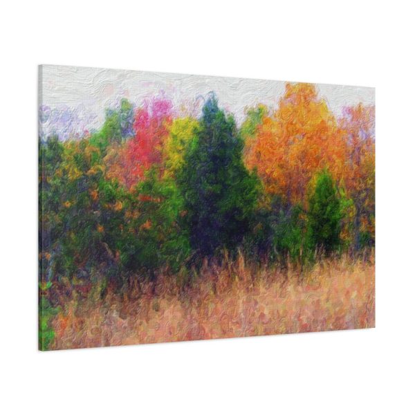 Autumn Landscape Standard Canvas