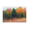 Autumn Landscape Standard Canvas