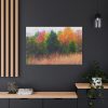 Autumn Landscape Standard Canvas