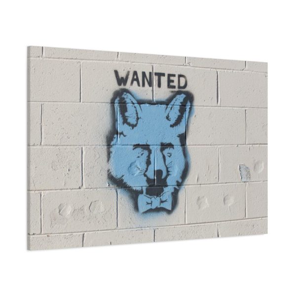 Graffiti Fox Standard Canvas