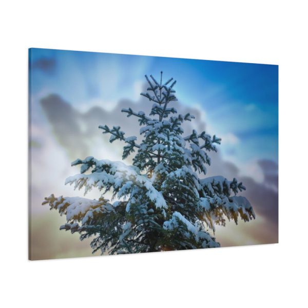 91638-395.jpg Frozen Tree Standard Canvas