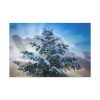91638-396.jpg Frozen Tree Standard Canvas