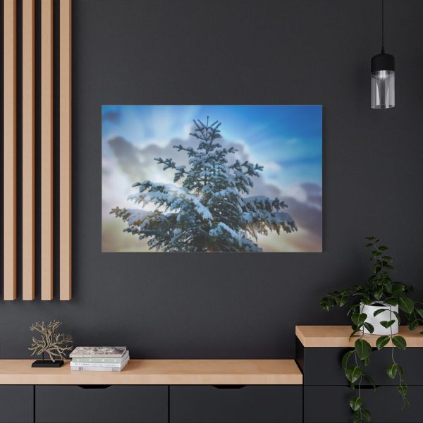 91638-398.jpg Frozen Tree Standard Canvas