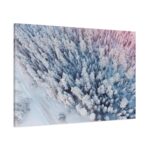 Winter Frozen Fir Tree Aerial View Standard Canvas