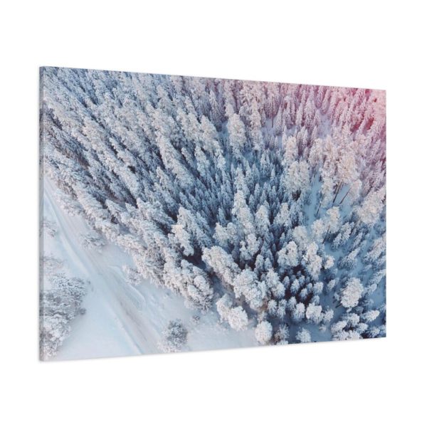 91638-450.jpg Winter Frozen Fir Tree Aerial View Standard Canvas
