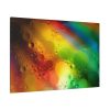 91638-470.jpg Rainbow Oil Bubble Standard Canvas