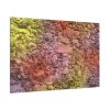 91638-475.jpg Stones and Paint Standard Canvas