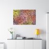 91638-477.jpg Stones and Paint Standard Canvas