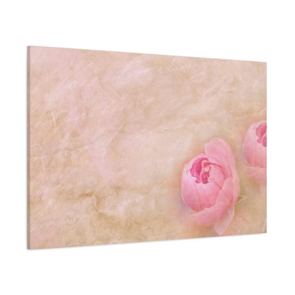 91638-480.jpg Spring Peony Standard Canvas