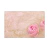 91638-481.jpg Spring Peony Standard Canvas