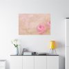 91638-482.jpg Spring Peony Standard Canvas