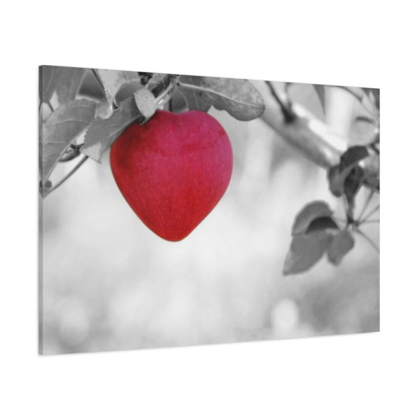 91638-515.jpg Red Apple in the Black and White Standard Canvas