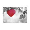 91638-516.jpg Red Apple in the Black and White Standard Canvas