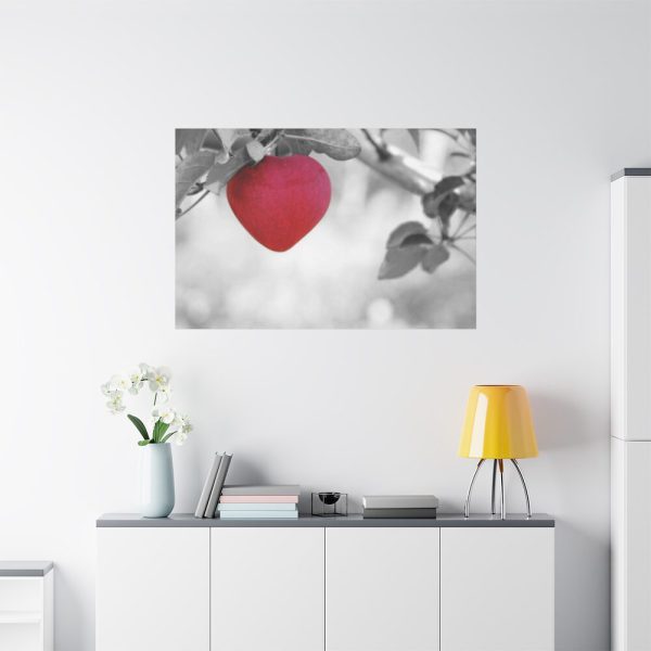 91638-517.jpg Red Apple in the Black and White Standard Canvas