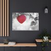 91638-518.jpg Red Apple in the Black and White Standard Canvas