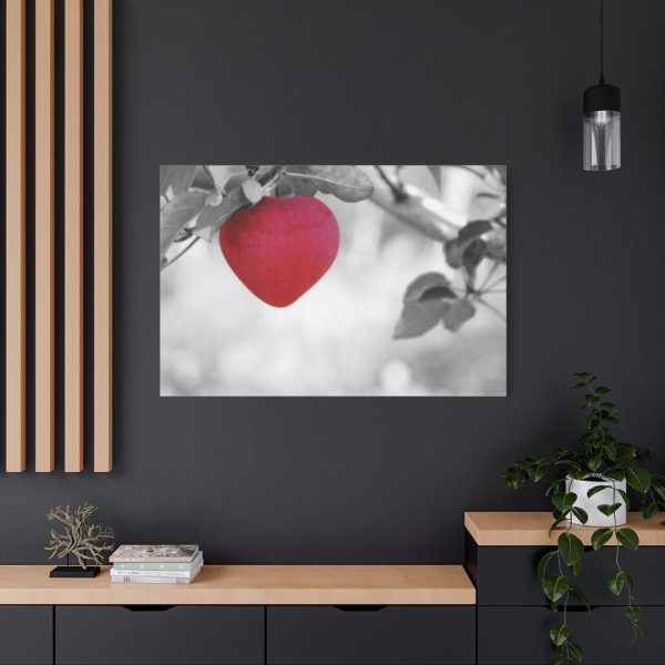 91638-518.jpg Red Apple in the Black and White Standard Canvas