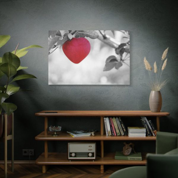 91638-519.jpg Red Apple in the Black and White Standard Canvas