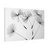 91638-520.jpg Dandelion Flower Standard Canvas