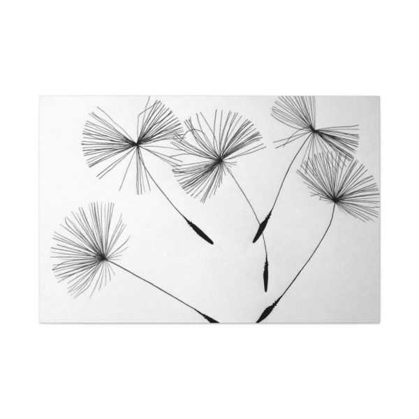 91638-521.jpg Dandelion Flower Standard Canvas
