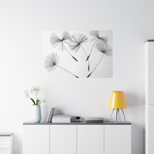 91638-522.jpg Dandelion Flower Standard Canvas