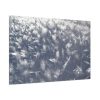 91638-575.jpg Closeup on Ice Crystals Standard Canvas