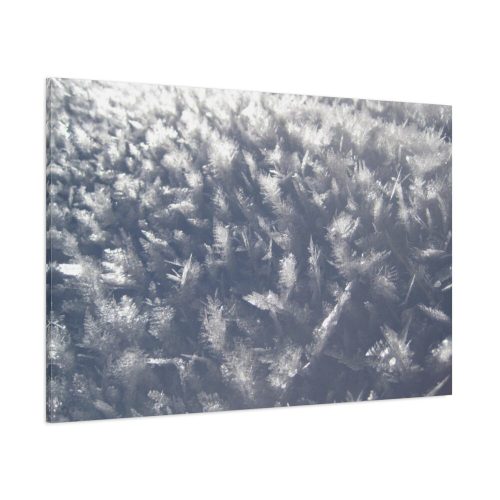 Closeup on Ice Crystals Standard Canvas