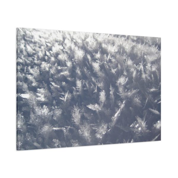 91638-575.jpg Closeup on Ice Crystals Standard Canvas