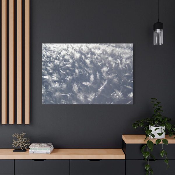 91638-578.jpg Closeup on Ice Crystals Standard Canvas