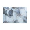 91638-581.jpg Leaves Covered in Ice Crystals Standard Canvas
