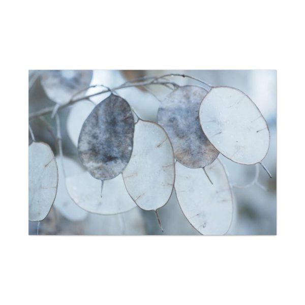 91638-581.jpg Leaves Covered in Ice Crystals Standard Canvas