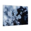 91638-590.jpg Closeup on Textured Frost Standard Canvas