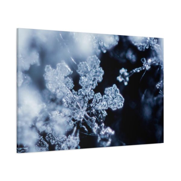 91638-590.jpg Closeup on Textured Frost Standard Canvas