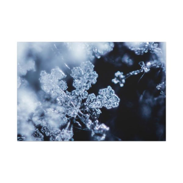 91638-591.jpg Closeup on Textured Frost Standard Canvas