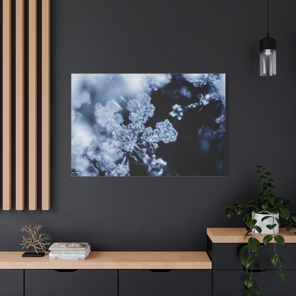 91638-593.jpg Closeup on Textured Frost Standard Canvas